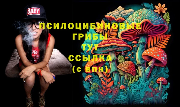 амфетамин Надым