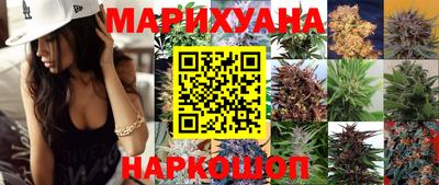 гидропоника Будённовск