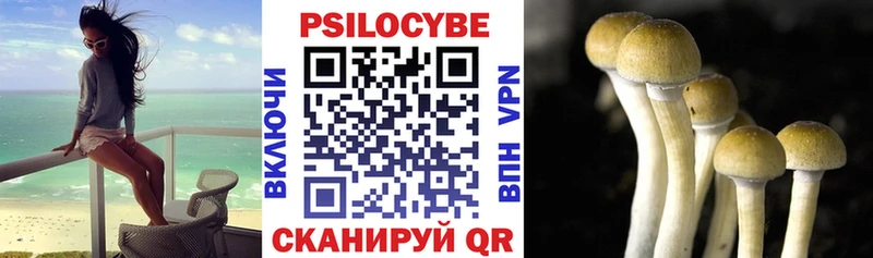 Псилоцибиновые грибы Cubensis  Нефтекумск 