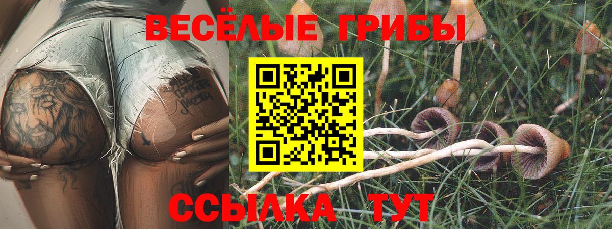Нефтекумск  Псилоцибиновые грибы прущие грибы  Вход с VPN  Галлюциногенные грибы MAGIC MUSHROOMS 